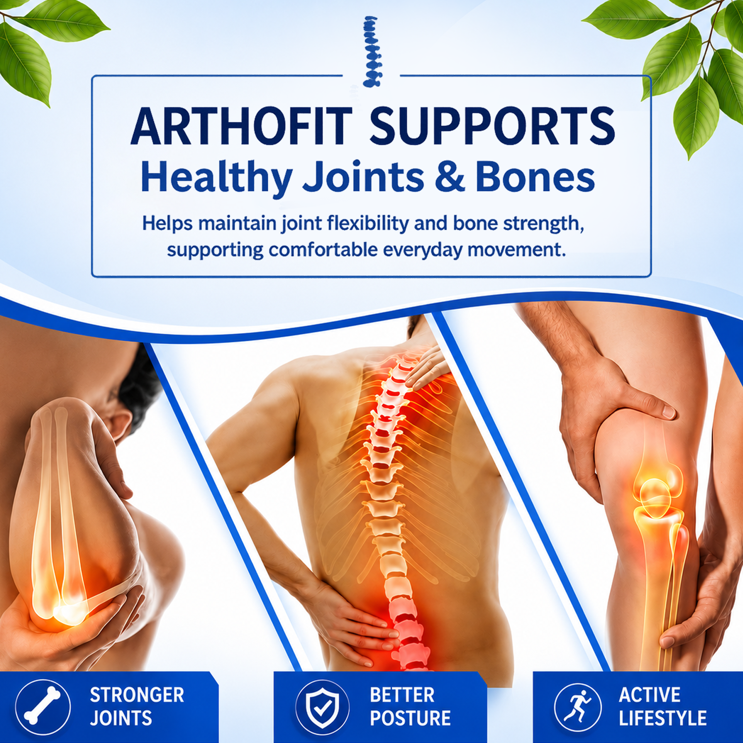 ARTHOFIT Tablet | 60 TAB